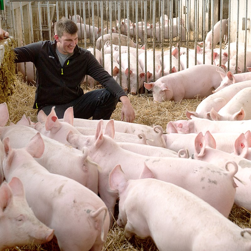 Landwirtschaft