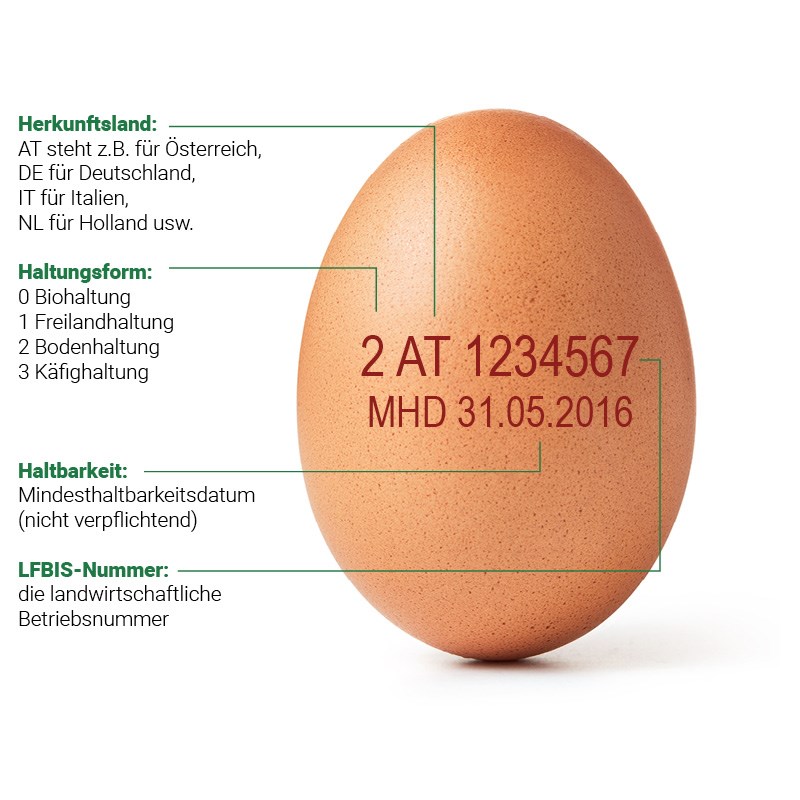 Erzeugercode für Eier