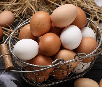 Eier